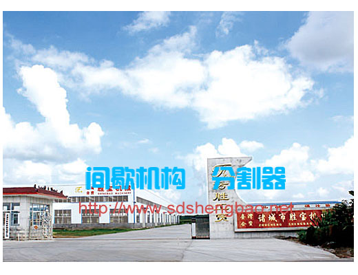 購買優(yōu)質(zhì)凸輪分割器就到山東諸城勝寶機械公司